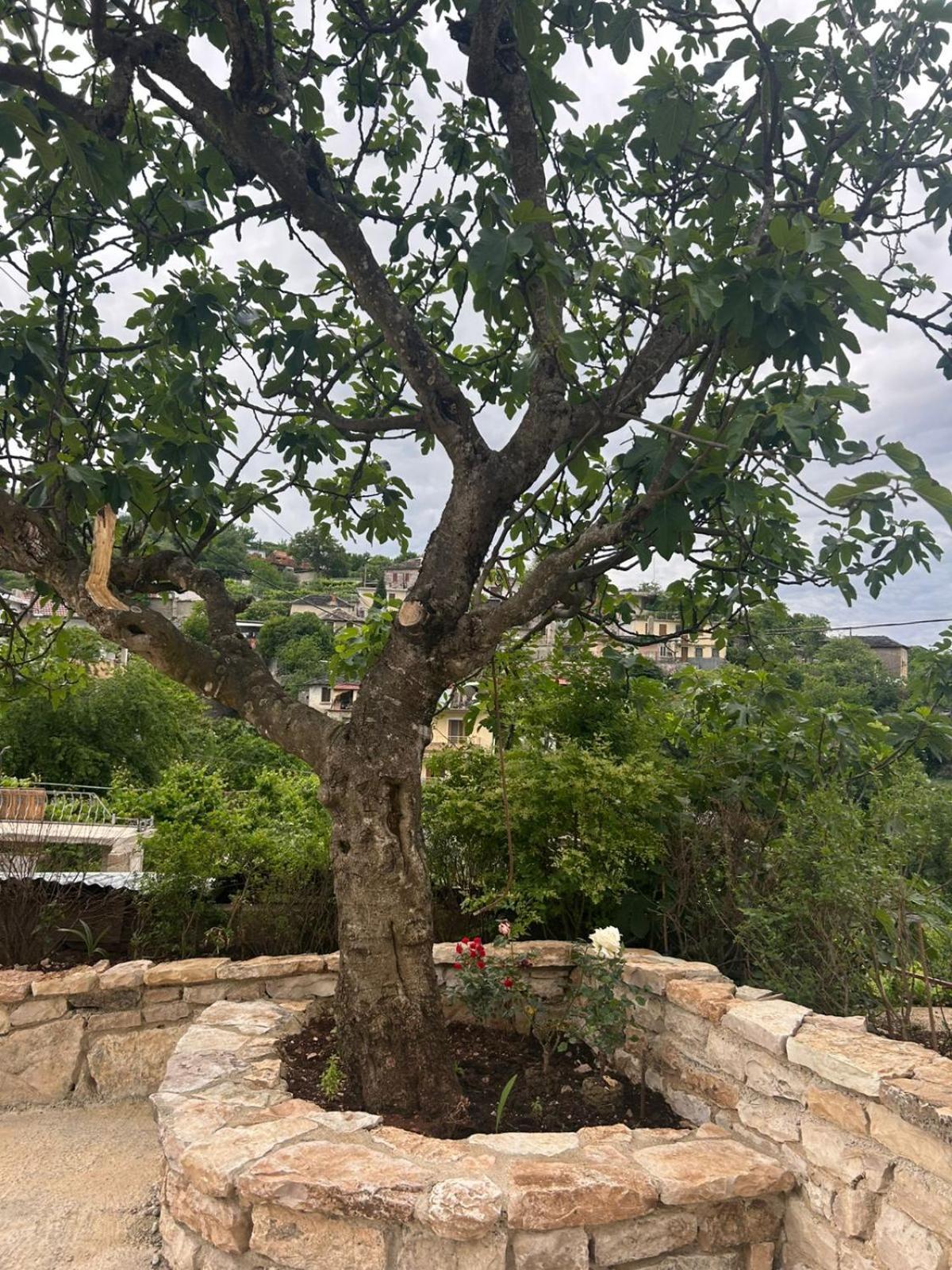 Guest House Lengo Gjirokaster Ngoại thất bức ảnh